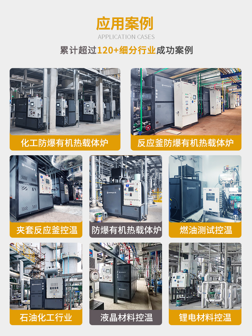 防爆电加热有机热载体锅炉蘑菇视频成人软件